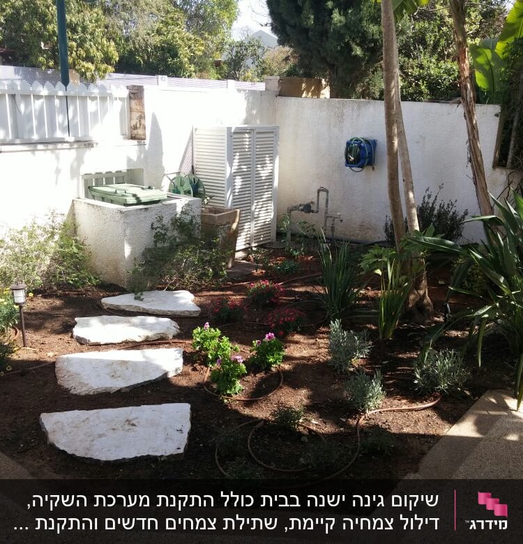 שביל אבנים בגינה עם צמחים ופרחים